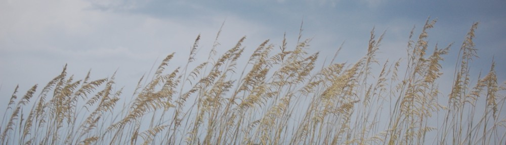 Speakers International