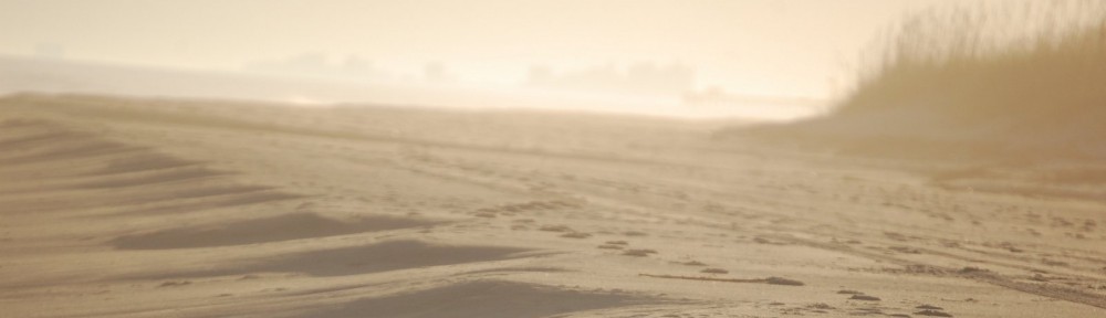 Speakers International